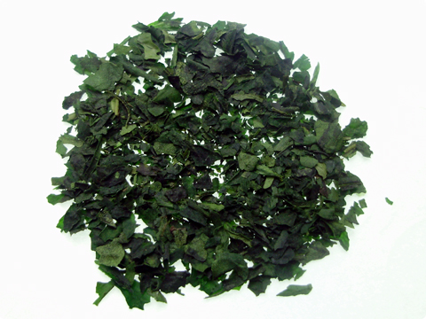 Tencha teelehti
